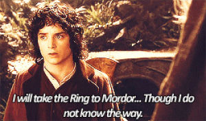 the lord of the rings,sam,gandalf,merry,aragorn,frodo,fellowship of the ring,legolas,rebecca,pippin,gimli,elrond