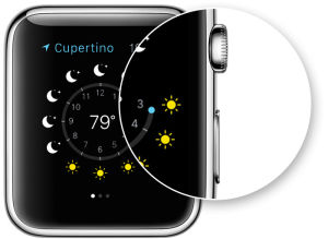 apple watch,screenshot