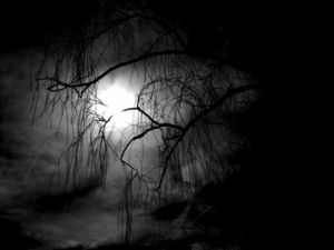dark,black and white,nature,creepy,bw,own,eerie