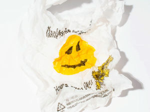 smiley face,thank you,have a nice day,plastic bag,happy face,phyllis ma,specialnothing