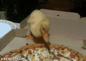 duckling,pizza