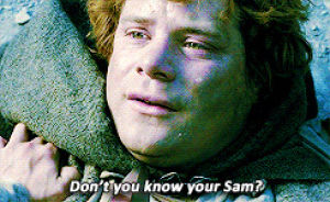 sam,the lord of the rings,frodo,two towers