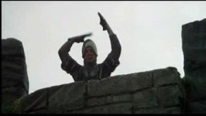 monty python,funny,movie,monty python and the holy grail,lol,insults