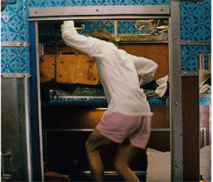 wes anderson,hiding,what,whats up,the darjeeling limited