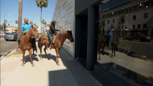 shopping,horse,the bachelorette,beverly hills,rodeo drive
