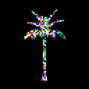 transparent,palm tree