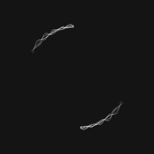 perfect loop,black and white,processing,creative coding,p5art,openprocessing,perlin noise