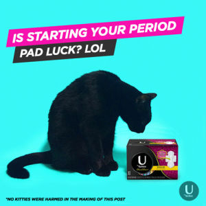 pms,funny,cat,lol,laughing,smh,lucky,friday the 13th,period,periods,bad luck,time of the month,aunt flo,kotex