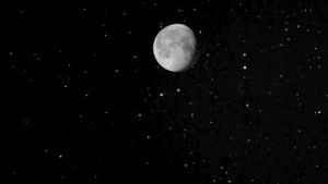 stars,moon
