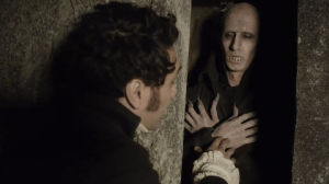 scary,what we do in the shadows,nosferatu,vampire,scare,the orchard