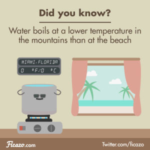 physics,kitchen,facts,fact,science,water,school,cooking,boiling,k12,water boiling