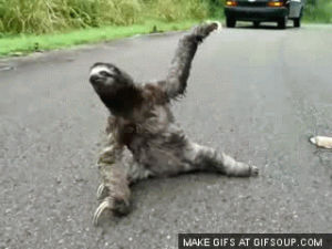 sloth,slow