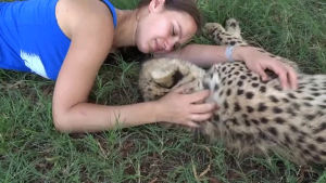 friendship,cheetah,girl