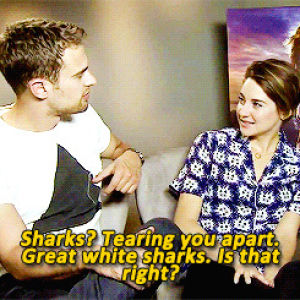 theo james,shailene and theo,divergent,insurgent,shailene woodley,books,fandom,the mortal instruments,fangirl,fourtris,sheo,dauntless,factions,alliegant