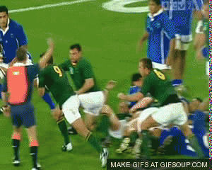 Rugby GIF on GIFER - by Arasius