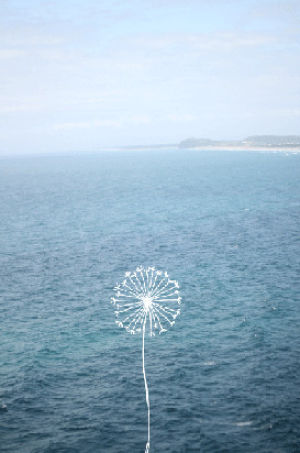 waves,dandelion,wish,fireworks,wishes,cute,fashion,water,blue,summer,ocean,hipster,boho