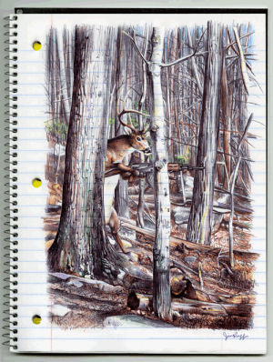 illustration,gun,paper,forest,deer,notebook,jim rugg