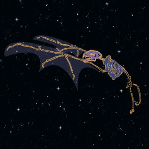 bat,creepy,flying,flapping,space,skeleton,goth,percolate galactic,creepier,goth bat in space