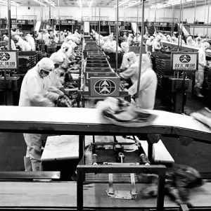 automation,consumerism,mass production,chinese workers,food production,meat industry,mark magidson,samsara,slaughterhouse,movies,movie,food,loop,timelapse,pig,meat,ron fricke