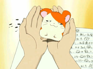 hamtaro,adorable,anime,kawaii,photo,hamster,yawn