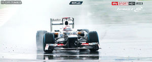 formula 1,aquaplaning,sports,2012,f1,british grand prix,silverstone,sauber,omaha humane society,bedienung