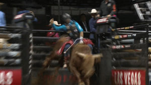 bull riding,pbr,professional bull riders,mortimer,scandalabc,iman shumpert