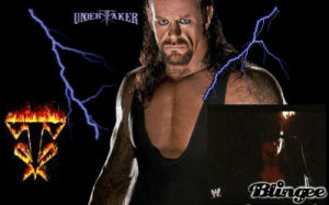 the undertaker