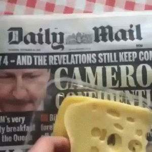 cancer,truth,cheese,immigrants