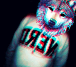 wolf,girl,party,boy,hipster,move,movement,shirt
