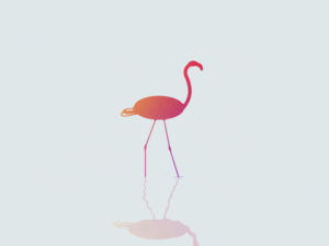 flamingo,animation,walk