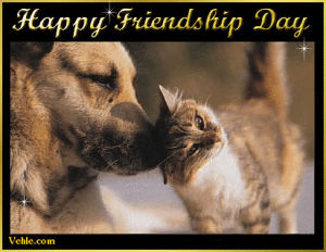 friendship day,cat,happy,dog,day,friendship,vehlecom