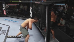 sports,fighting,ufc,video game physics,cage