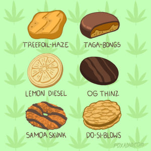 girl scout cookies,dank,lol,fox,weed,drugs,animation domination,fox adhd,pot,cookies,bud,violet bruce,herb,marijauna,girl scout,slinging,animation domination high def