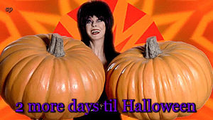 cassandra peterson,elvira,halloween,halloween countdown,big pumpkins