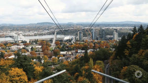 tram,fall,beautiful,city,view,ride,transportation,autumn,trees,leaves,portland,pdx,skyline,shuttle,lookout,northwest,pacific northwest,fare,gondola,omsi,pacific nw