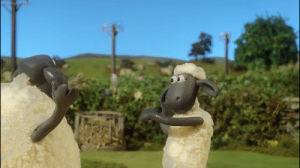 shaun the sheep,high five,hi five,yes,olympics,celebrate,yay,rio,woo,aardman,shaunthesheep,championsheeps