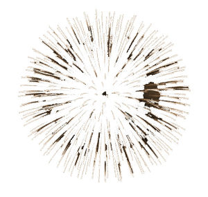 animated fireworks png