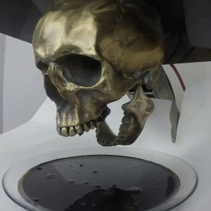 skull,sculpture