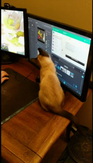 Youve Got To Be Kidding Me Facepalm Calembour Gif Sur Gifer Par Votaxe