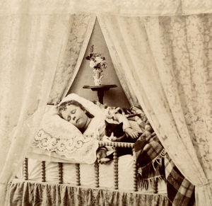 victorian era,sleeping,1889,cat,girl,vintage,3d,sleep,bed,child,pets,childhood,wigglegram,little girl,victorian,vintage3d,napping,vintage 3d,naps,1880s,sleeping girl,there is no bathroom