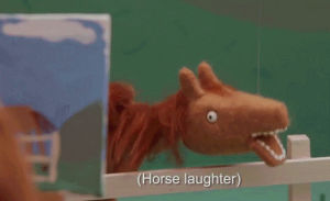 laughing,horse,laughter