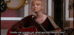 smelly cat,taylor swift,lisa kudrow