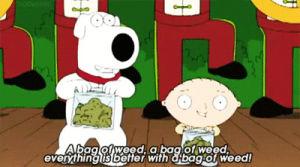 bag of weed,padre de familia,family guy,brian,dance,smoke,weed,stewie