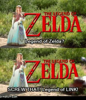 unimpressed,video games,link,ok,the legend of zelda,zelda,yawn,rename