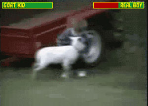 fatality,boy,real,goat