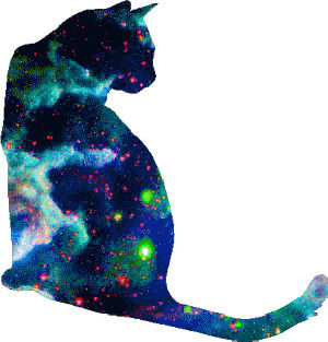 space,cat,kitty