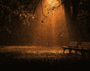 rain,pluviophile,happy,love rain