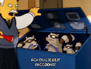 racoons,season 3,episode 11,surprised,3x11,chew,wires
