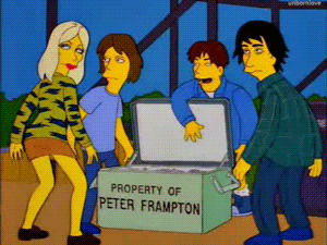 sonic youth,simpsons