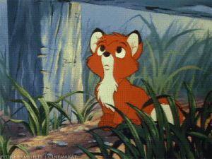 film,disney,the fox and the hound,tod,what does the fox say,baby fox